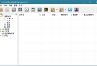 下载利器IDM v6.42.62绿色版