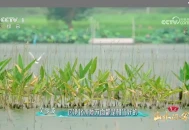 电视浏览器TV v1.8.0